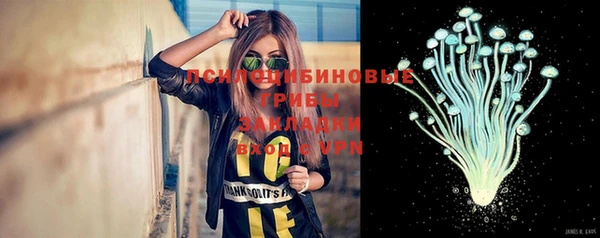прущие грибы Абаза