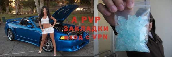 прущие грибы Абаза