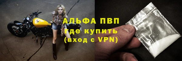 СК Абинск