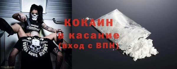 прущие грибы Абаза