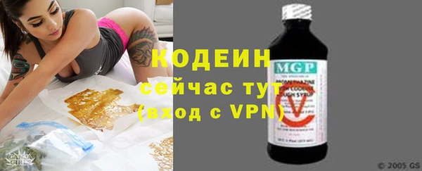 прущие грибы Абаза