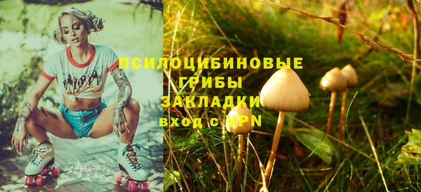 СК Абинск