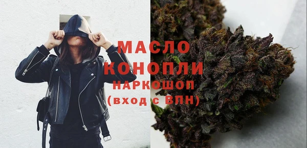прущие грибы Абаза