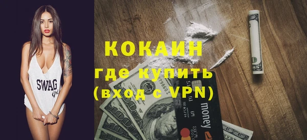 прущие грибы Абаза