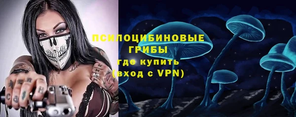 прущие грибы Абаза