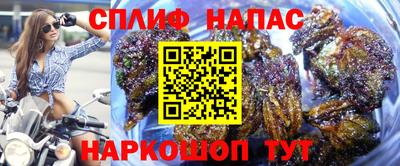 ГАЛЛЮЦИНОГЕННЫЕ ГРИБЫ Татарск
