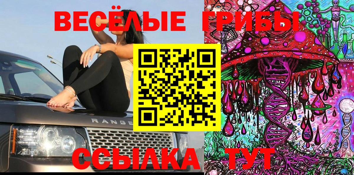 Галлюциногенные грибы Psilocybe Нефтеюганск